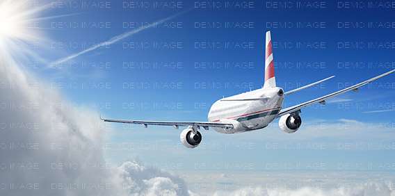 Ocean Freight Forwarding